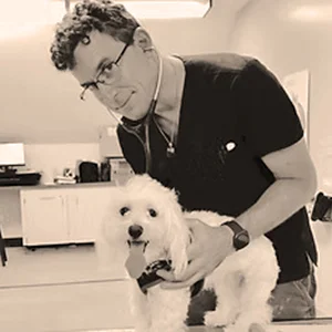 Veterinarian Dr. Andrew Sattler uses a stethoscope to examine a small white dog on an exam table.