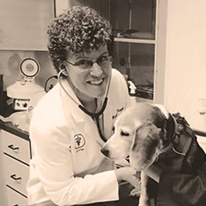 Veterinarian Dr. Michelle Kozel wears a white coat and uses a stethoscope to examine a beagle on the exam table.