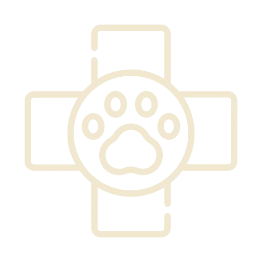 Wellness & Preventative Care Icon